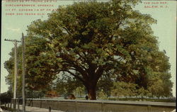 The Old Oak Postcard