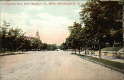 Livingston Avenue from Suydam Street Postcard