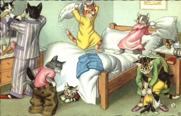 Cat's Family Pillow Fight Cats