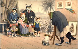 Cat Family Picture Postcard