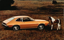 1971 Pinto 2-Door Sedan Cars Postcard Postcard Postcard