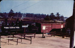 Work Train at Edaville Carver, MA Postcard Postcard Postcard