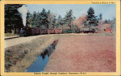 Express Freight through Cranberry Plantation-79-D-1 Postcard