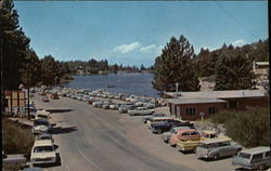 Business Section Postcard