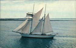 Brigantine "Yankee" Schooner Nantucket, MA Sailboats Postcard Postcard Postcard