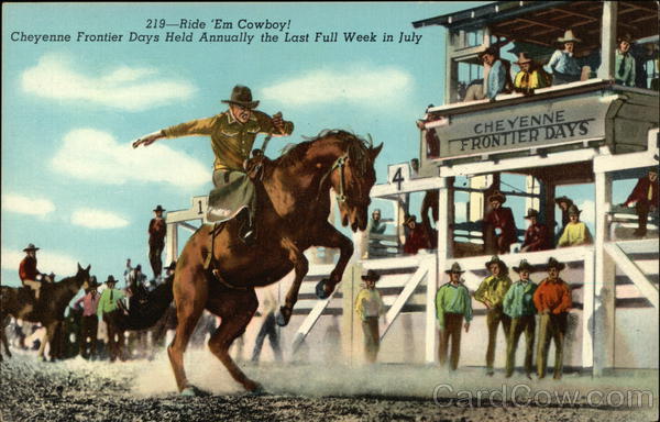 Ride 'Em Cowboy! Rodeos