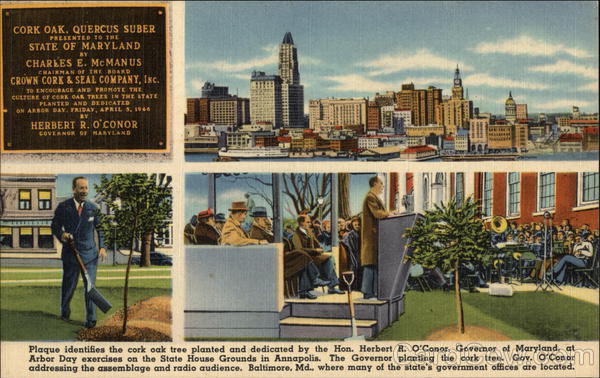 The Cork Tree Baltimore Maryland