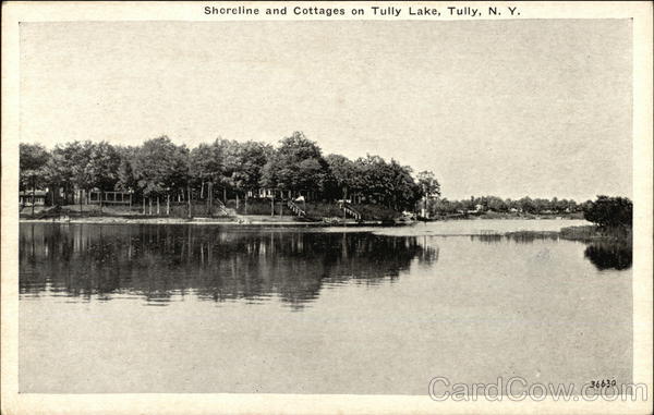 Shoreline and Cottages on Tully Lake New York