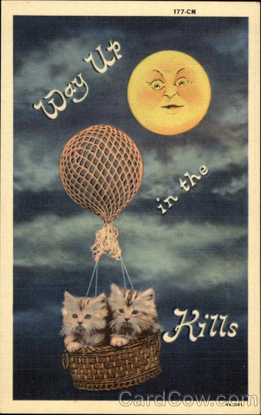Way Up in the Kills Cats