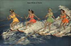 Aqua Maids of Florida Cypress Gardens, FL Postcard Postcard Postcard