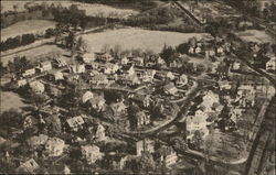 Ellison Park - Homes of Waltham's Prominent Citizens Ellison Park - Homes of Waltham's Prominent Citizens