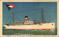 SS Chiriqui - United Fruit Company Postcard