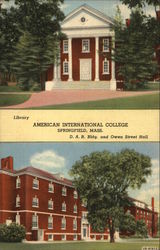 American International College American International College