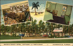 White's Ranch Jacksonville, FL Postcard Postcard Postcard