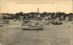 The Harbor from Breakwater Postcard