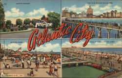 Atlantic City New Jersey Postcard Postcard Postcard