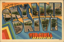 Greetings from Sky-Line Drive, Virginia Postcard