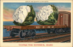 Quality and Quantity is Our Motto - Greetings from Kendrick, Idaho Postcard