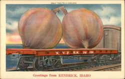 Greetings from Kendrick, Idaho Exaggeration Postcard Postcard Postcard