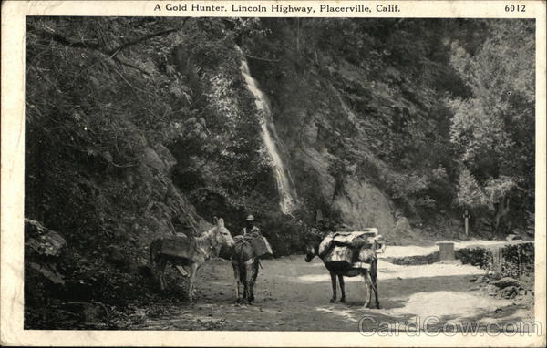 A Gold Hunter, Lincoln Highway Placerville California