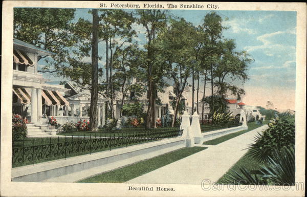 Beautiful Homes in the Sunshine City St. Petersburg Florida