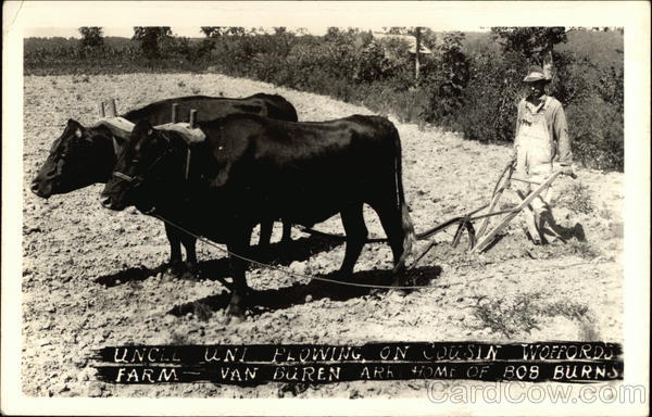 Uncle Uni Plowing on Cousin Wofford's Farm Van Buren Arkansas