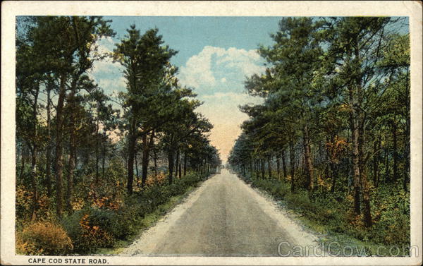 Cape Cod State Road Massachusetts