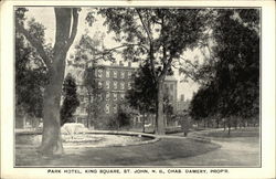Park Hotel, King Square - Charles Damery, Proprietor Saint John, NB Canada New Brunswick Postcard Postcard Postcard