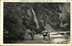 A Gold Hunter, Lincoln Highway Postcard