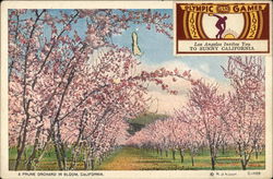 Stock #473953 Thumbnail