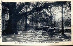 Jack London's Hammock at London Ranch Postcard