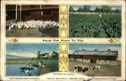 Hoff-Schroeder Cafeteria - From the Farm to You Postcard