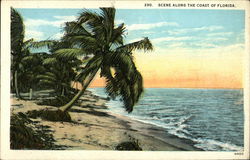 Coastal Scene Florida Postcard Postcard Postcard