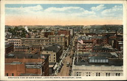 Bird's Eye View of Main Street, looking North Postcard