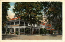 The White House Gainesville, FL Postcard Postcard Postcard