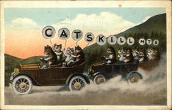 Catskill Mountains Postcard