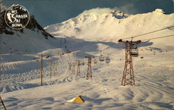 Mt. Shasta Ski Bowl Postcard