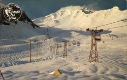 Mt. Shasta Ski Bowl Mount Shasta, CA Postcard Postcard Postcard