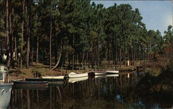 Bayou Reflections of Boats on the Water Postcard