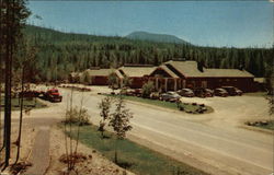 West Glacier, Montana Postcard Postcard Postcard