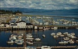 Port Basin at the mouth of the famous Columbia River Ilwaco, WA Postcard Postcard Postcard