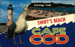 Greetings from Swift's Beach Cape Cod Postcard