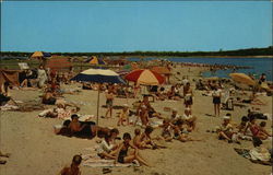 Swift's Beach on Cape Cod Postcard