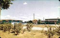 Green Acres Motel Postcard