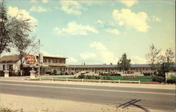 Cadillac Motel Postcard