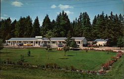 Mitch's Motel and Trailer Camp, Highway 17 West Webbwood, ON Canada Ontario Postcard Postcard Postcard