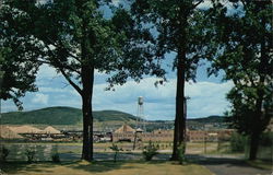 Plant of Fraser Companies, LTD Plant of Fraser Companies, LTD