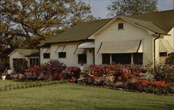 McComb's Lighted Azalea Trail Mississippi Postcard Postcard Postcard