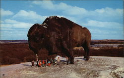 World's Largest Buffalo Postcard