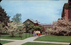 Campus in Spring, The University of Connecticut Hartford, CT Postcard Postcard Postcard